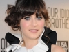 Zooey Deschanel 'Our Idiot Brother' premiere