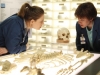 BONES:  Brennan (Emily Deschanel, L) and Zack  (guest star Eric Millegan, R) examine the skull of a murder victim when the Jeffersonian team works on their first case with the FBI in the milestone 100th episode of BONES, which takes viewers back in time six years.  The BONES 100th episode "The Parts in the Sum of the Whole" airs Thursday, April 8 (8:00-9:00 PM ET/PT) on FOX.  ©2010 Fox Broadcasting Co.  Cr:  Greg Gayne/FOX
