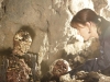 BONES:  Brennan (Emily Deschanel) investigates the remains of a couple found in a cave at a national park in the BONES episode "The Couple in the Cave" airing Thursday, Sept. 30 (8:00-9:00 PM ET/PT) on FOX.  ©2010 Fox Broadcasting Co.  Cr:  Adam Taylor/FOX