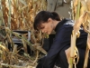 BONES:  Brennan (Emily Deschanel) investigates a body found in a cornfield in "The Sin in the Sisterhood" episode of BONES airing Thursday, Feb. 3 (9:00-10:00 PM ET/PT) on FOX.  ©2011 Fox Broadcasting Co.  Cr:  Ray Mickshaw/FOX