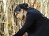 BONES: Cam (Tamara Taylor) helps Brennan and Booth investigate a body found in a cornfield in "The Sin in the Sisterhood" episode of BONES airing Thursday, Feb. 3 (9:00-10:00 PM ET/PT) on FOX.  ©2011 Fox Broadcasting Co.  Cr:  Ray Mickshaw/FOX