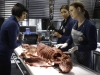 BONES:  L-R:  Cam (Tamara Taylor), Angela (Michaela Conlin) and Brennan (Emily Deschanel) examine the remains found on top of the canopy in Angela and Hodgins bedroom in the