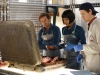 BONES:  L-R:  Hodgins (TJ Thyne), Cam (Tamara Taylor) and Jeffersonian intern Finn Abernathy (guest star Luke Kleintank) investigate remains found in a suitcase in the "The Friend in Need" episode of BONES airing Monday, Feb. 18 (8:00-9:00 PM ET/PT) on FOX.  ©2013 Fox Broadcasting Co. Cr: John Johnson/FOX
