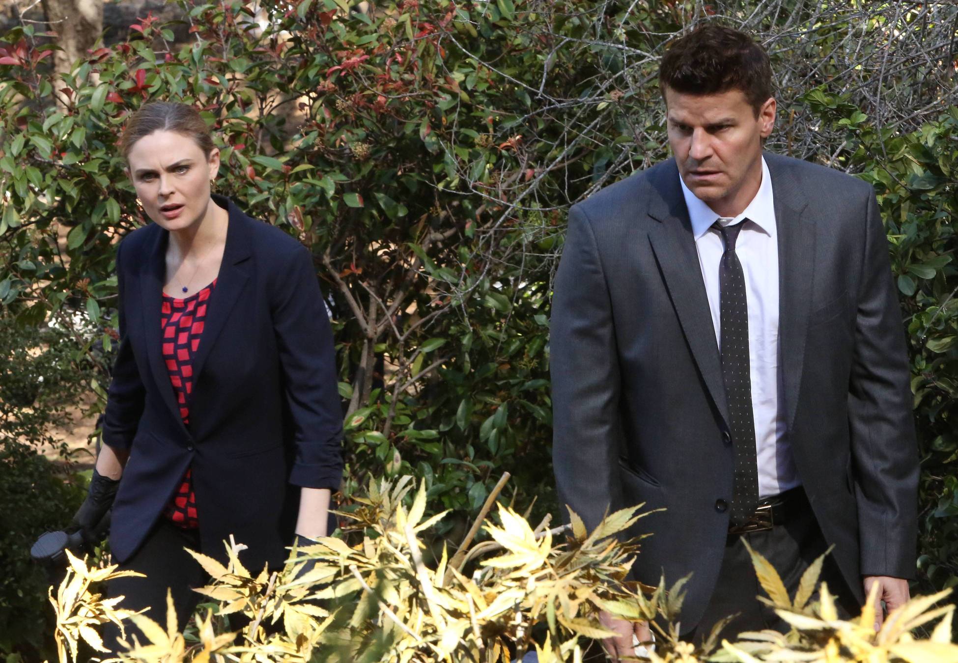 Bones 9. David Boreanaz Bones.