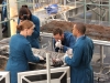 BONES:  Brennan (Emily Deschanel, second from L) and the Jeffersonian team (L-R:  Michaela Conlin, TJ Thyne and guest star Eugene Byrd) work to find evidence that will get Booth released from jail in the "The Conspiracy in the Corpse" season premiere episode of BONES airing Thursday, Sept. 25 (8:00-9:00 PM ET/PT) on FOX.  Â©2014 Fox Broadcasting Co.  Cr:  Adam Taylor/FOX